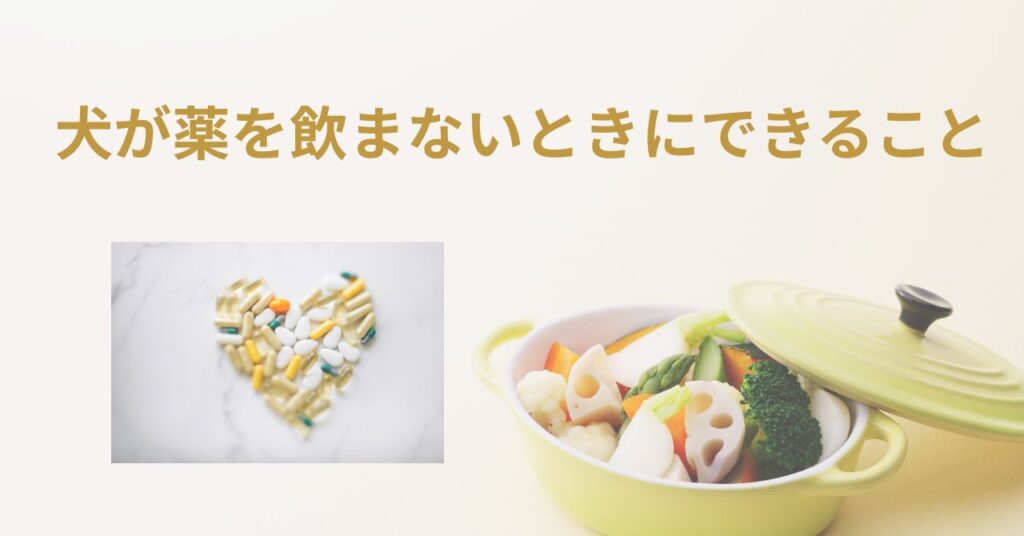 蒸した野菜と薬を並べた老犬ケアの準備