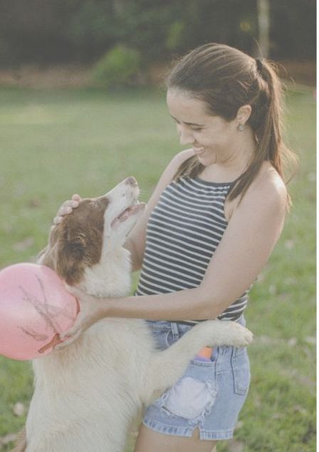 飼い主と老犬の手足が触れ合う優しい瞬間