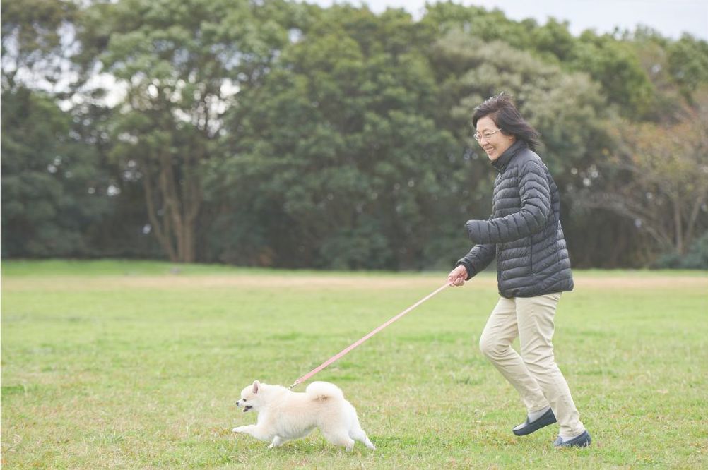 犬の散歩用ポーチとティッシュ類の写真

