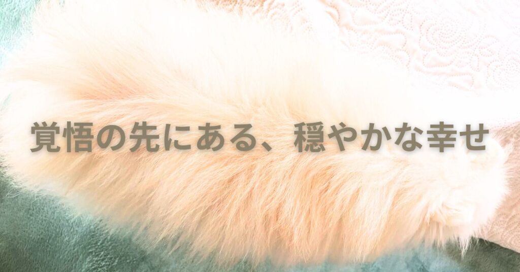 老犬けんしと過ごす静かな午後