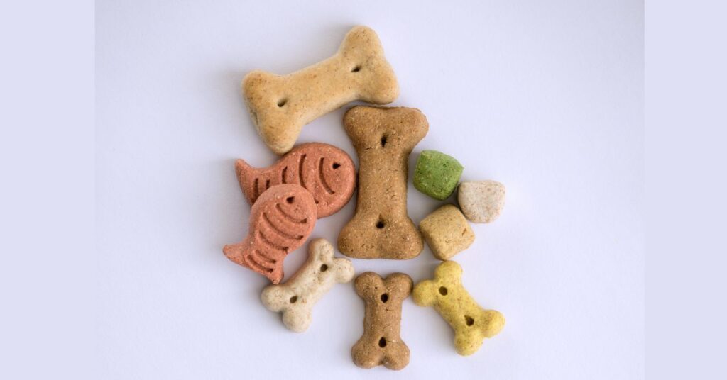 老犬が食べやすい高さに置かれた食事台と器