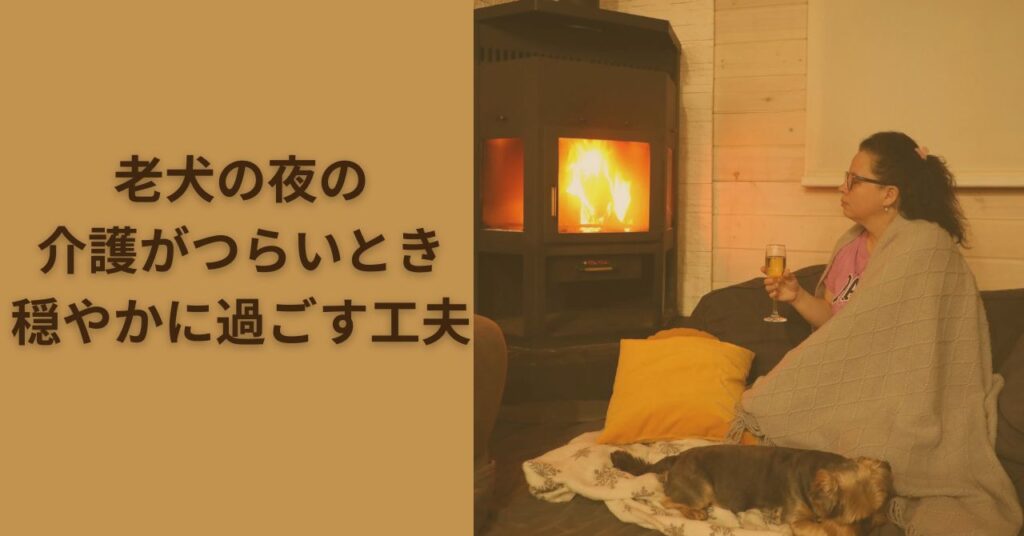 常夜灯の光の中で穏やかに眠る老犬