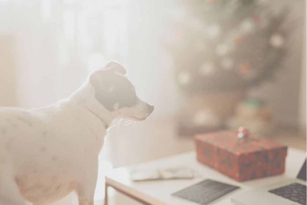 光に照らされた壁と床の静かな影