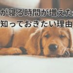 柔らかい光が広がる落ち着いた雰囲気