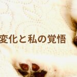 けんしのやさしい写真