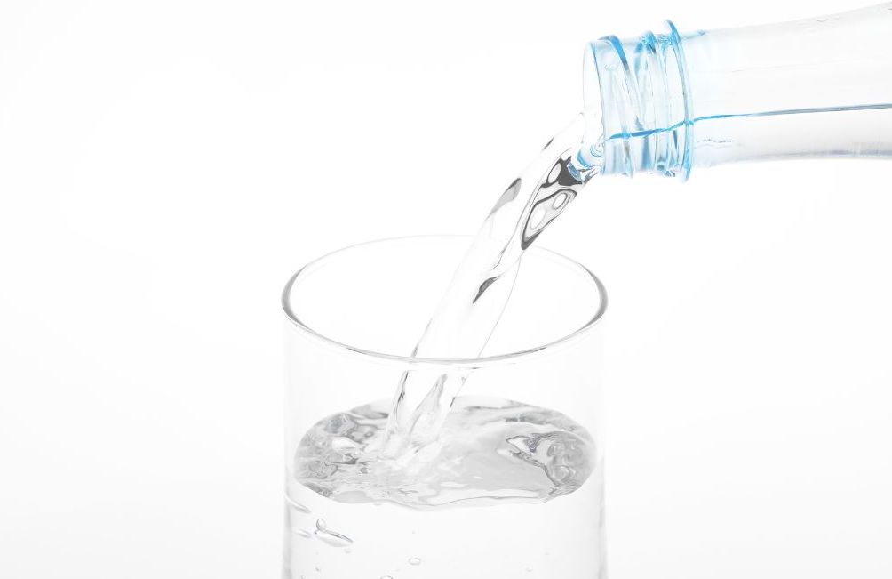 老犬のために用意する清らかな水