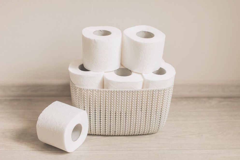 トイレシートの上に座るシルエット