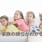 カーテン越しに広がる穏やかな日差しの様子