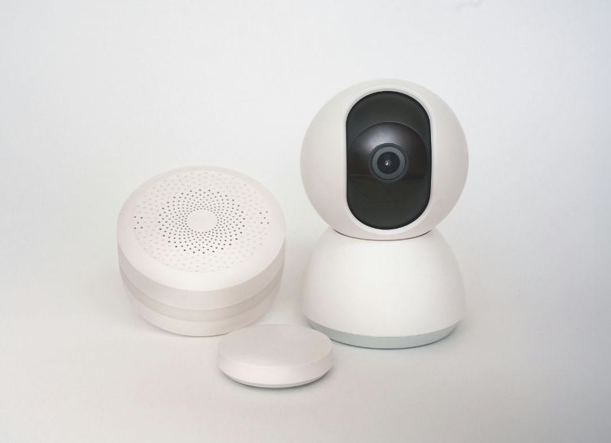 見守りカメラと自動給餌器が設置された老犬の安全な留守番スペース