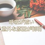 朝の光とノート。老犬の毎日の小さな記録。